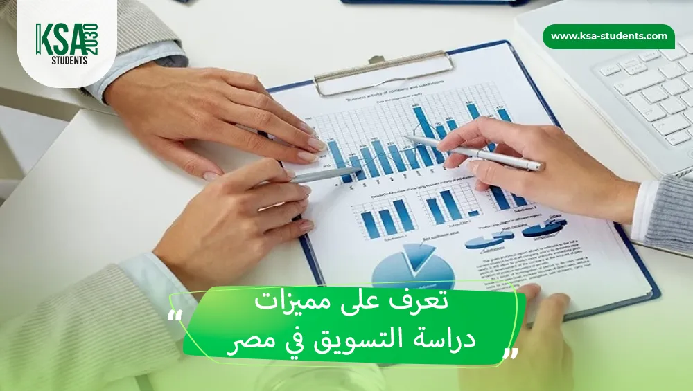 دراسة التسويق في مصر