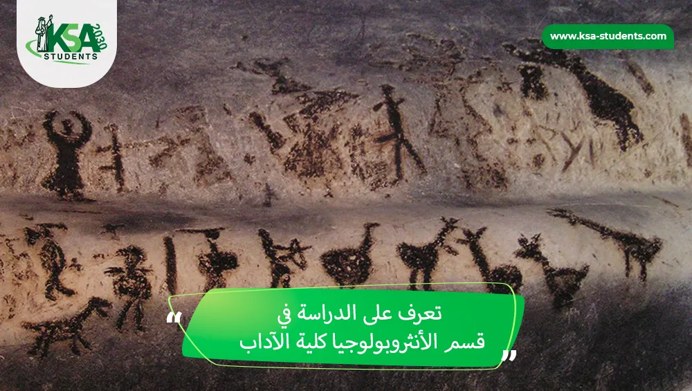 الدراسة في قسم الأنثروبولوجيا كلية الآداب