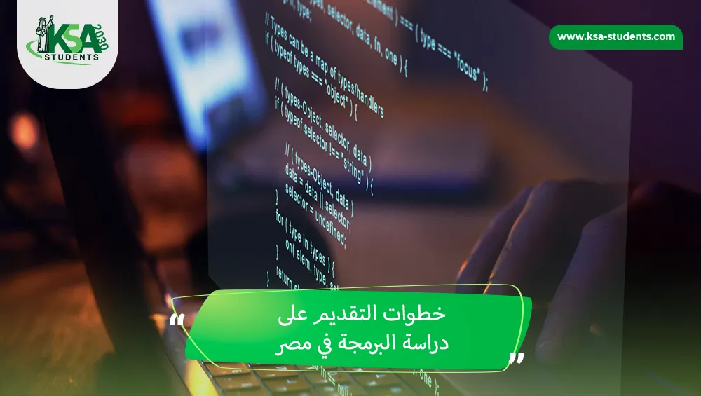 دراسة البرمجة في مصر