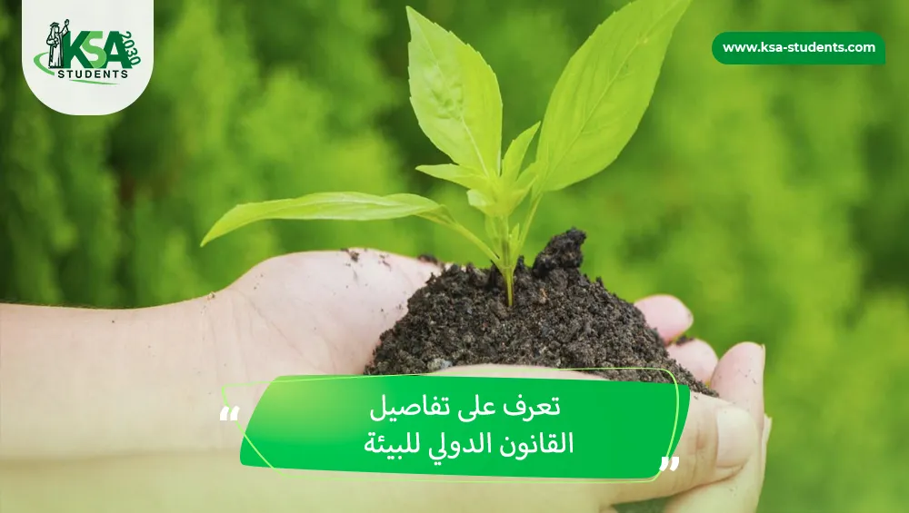 القانون الدولي للبيئة
