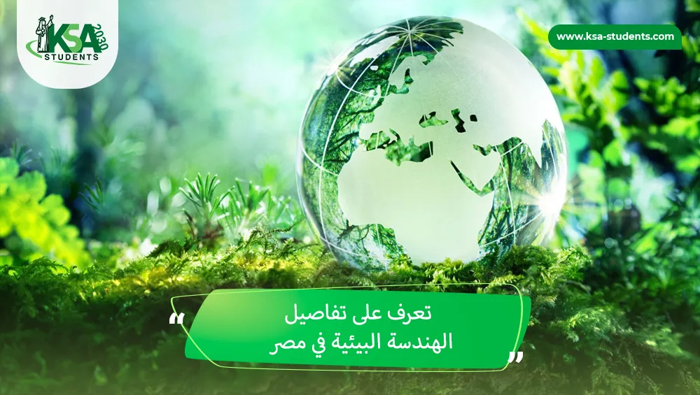 الهندسة البيئية في مصر