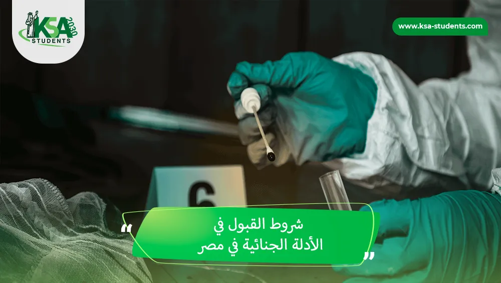 شروط القبول في الأدلة الجنائية في مصر