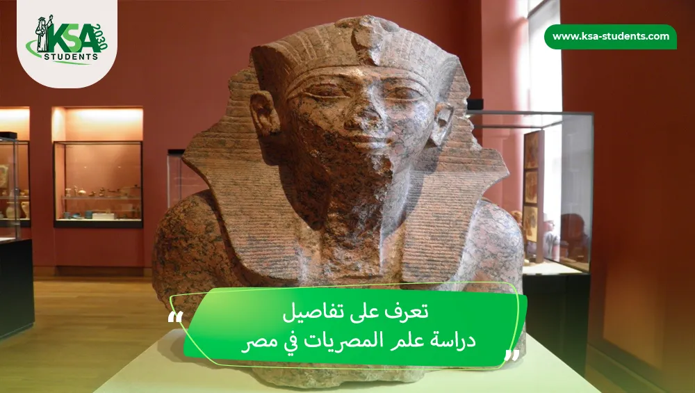 دراسة علم المصريات في مصر