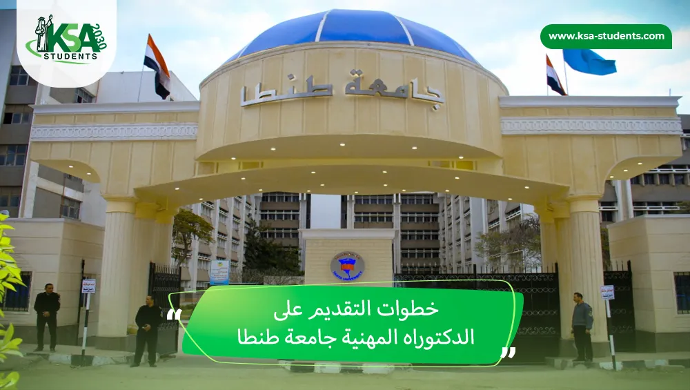 الدكتوراه المهنية جامعة طنطا