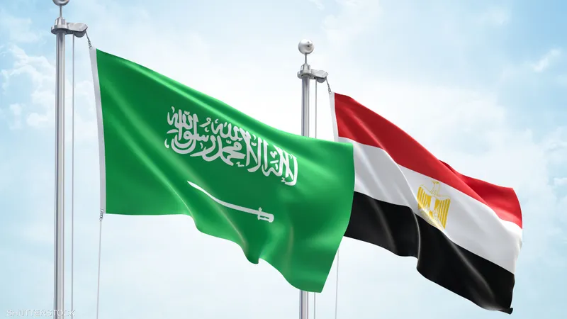 الدراسة في مصر